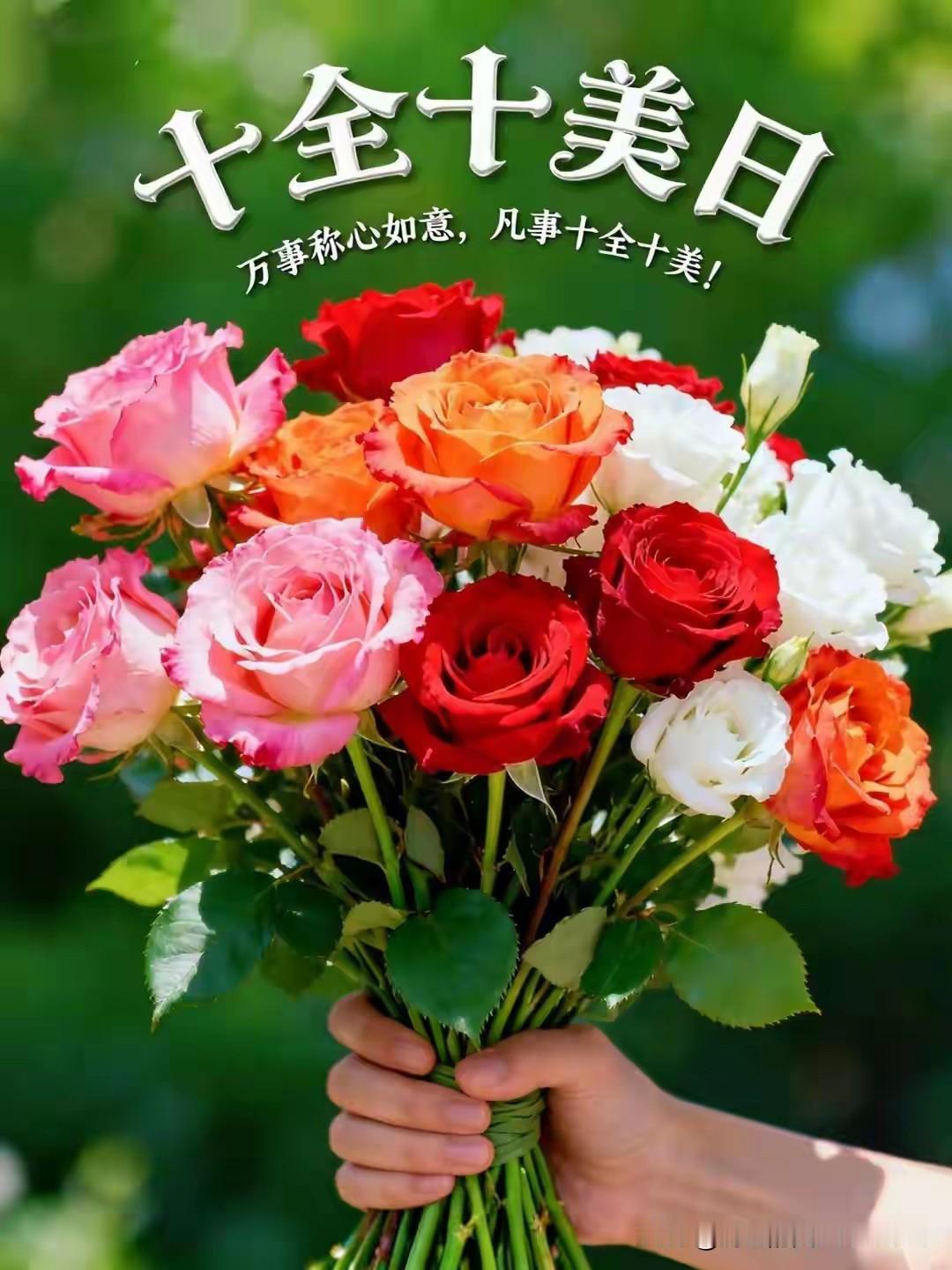 [双十日，球迷小对话，我们有！]苏迷：我们有张常宁、龚翔宇、刁琳宇、倪非凡。