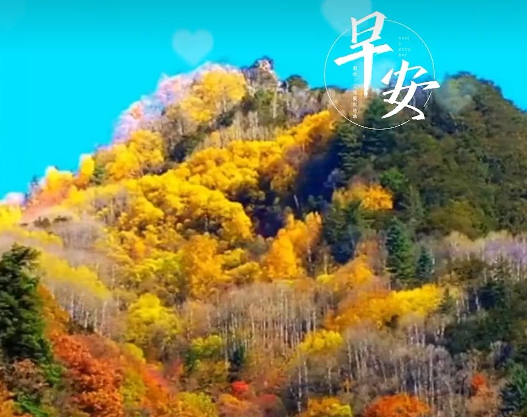 迎接欢乐，守住健康；过好生活，共享阳光；心情舒畅幸福又安康。早上好！[祈祷