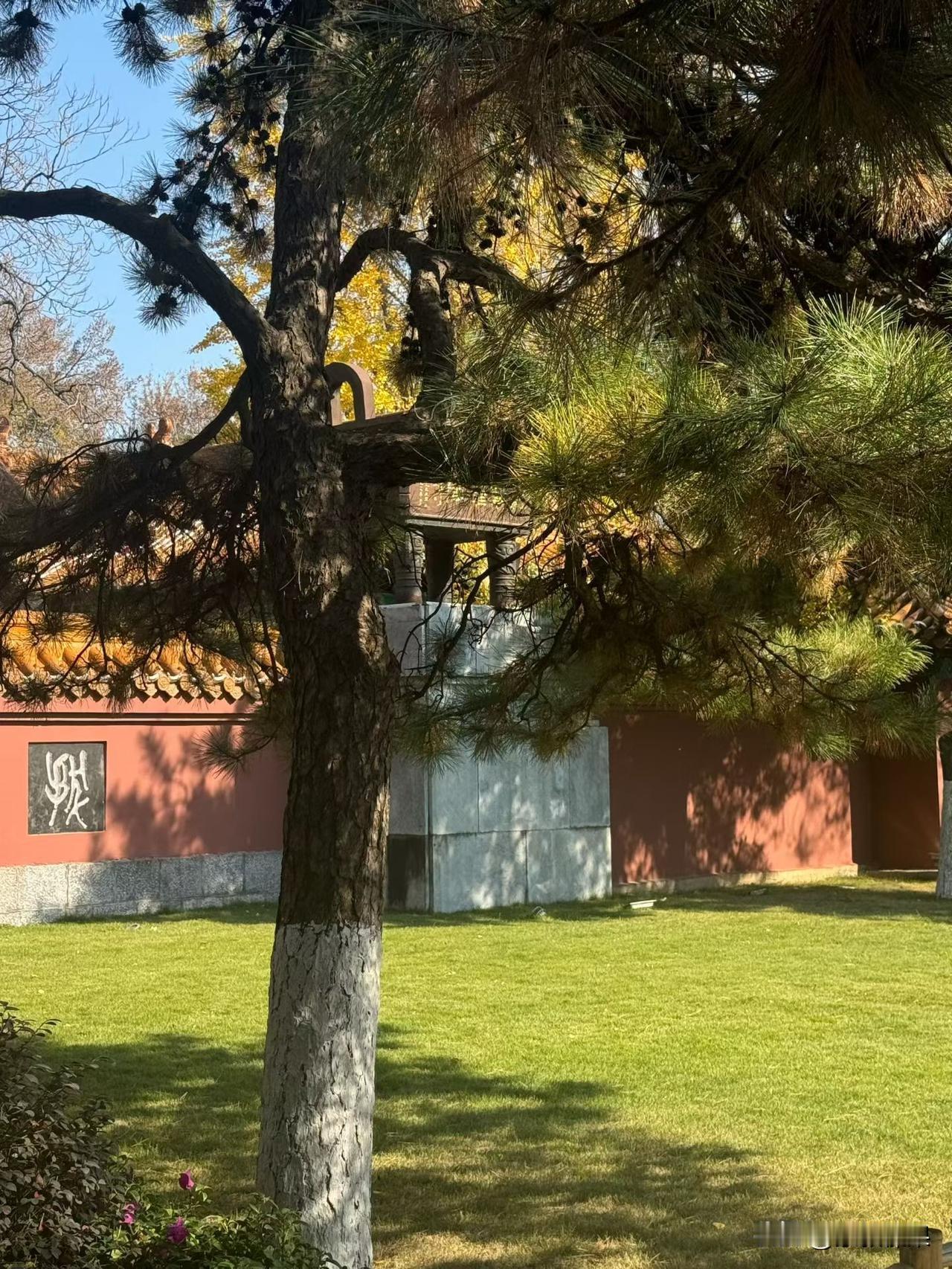 邻居小孩结婚，买了230万的房子。但是，名字却写的是男方父母名字。物业费，供暖费