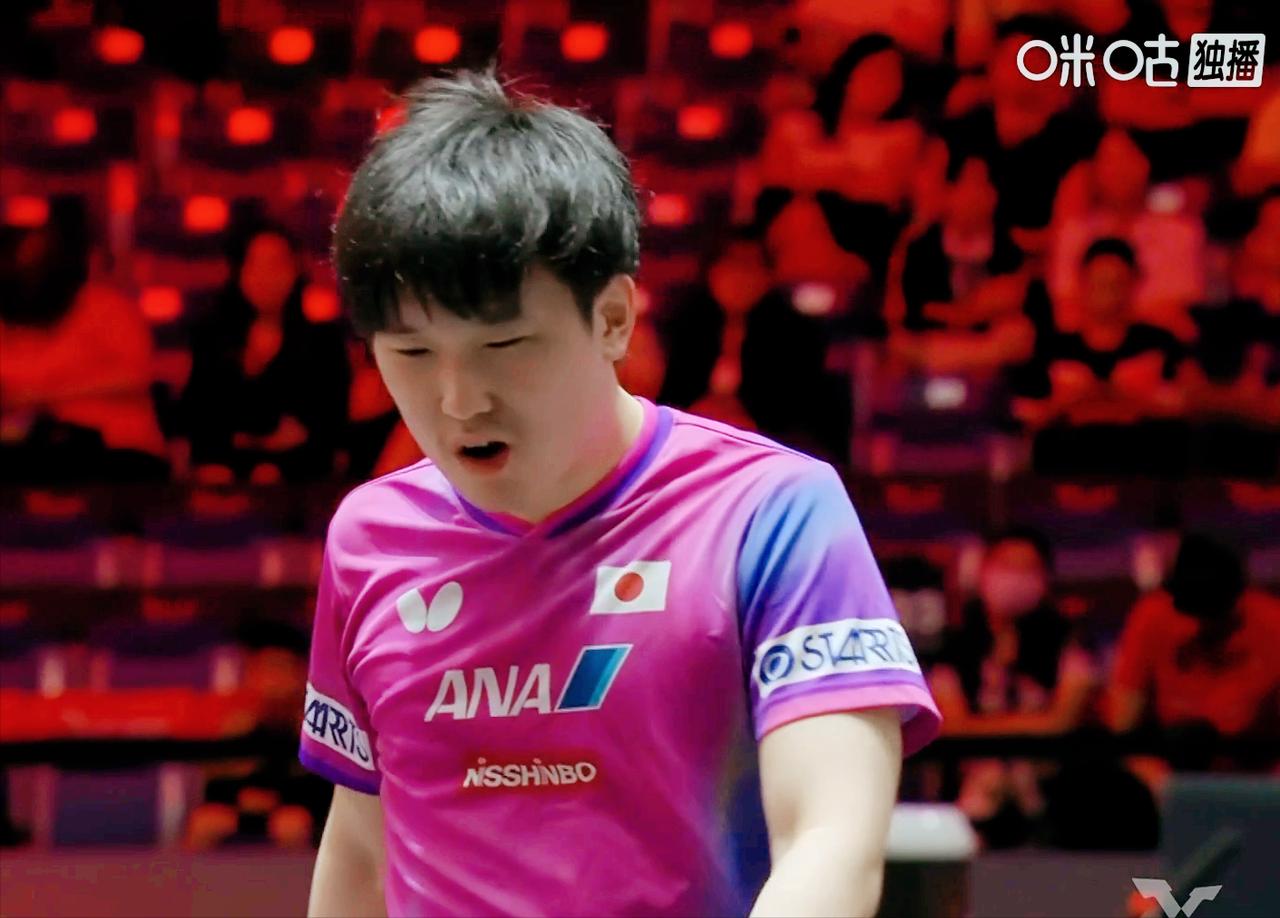 遗憾！张本智和最终3:1击败了罗伯斯勒这场比赛。张本智和打的并不是很轻松，
