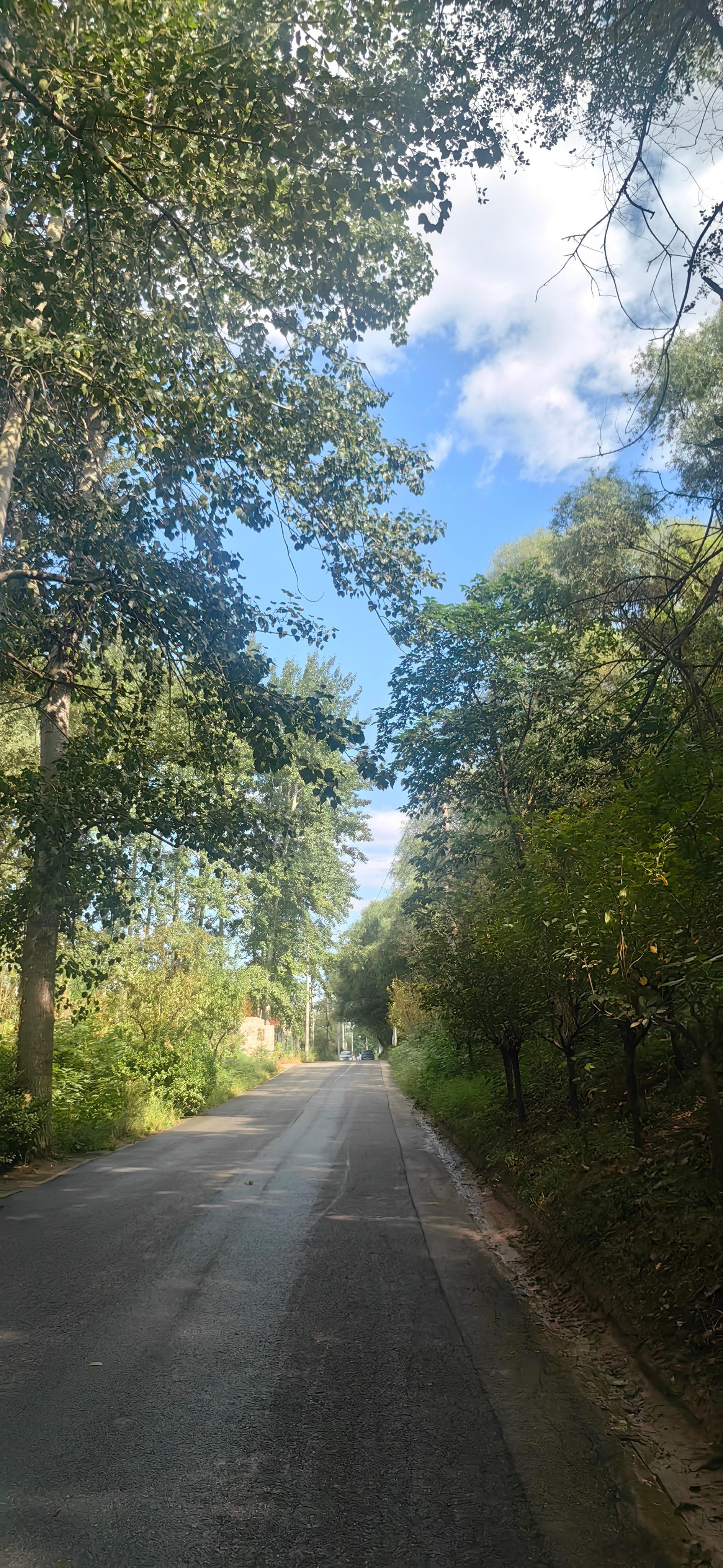 人生初见，荒野海淀[捂脸哭]​​​
