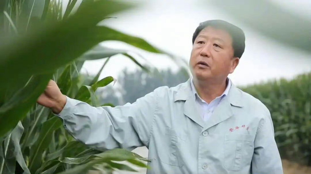 原来我们餐桌上的底气藏在山东的一粒粒种子里！小麦、大豆、玉米，还有畜禽水产良种接