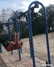 搞笑GIF: 妹子登高拍风景, 奈何大风不正经