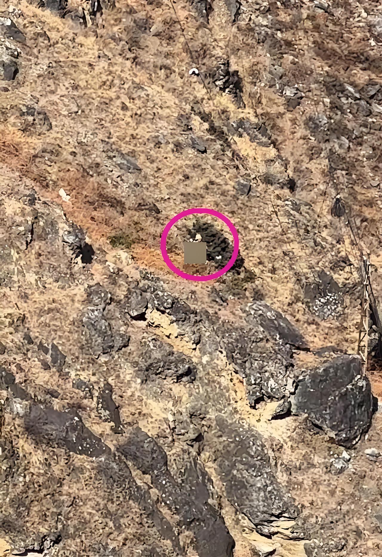 【大年初五悲剧！8岁男童虎跳峡坠崖遇难，爸爸当场崩溃痛哭】本该是阖家团圆的春