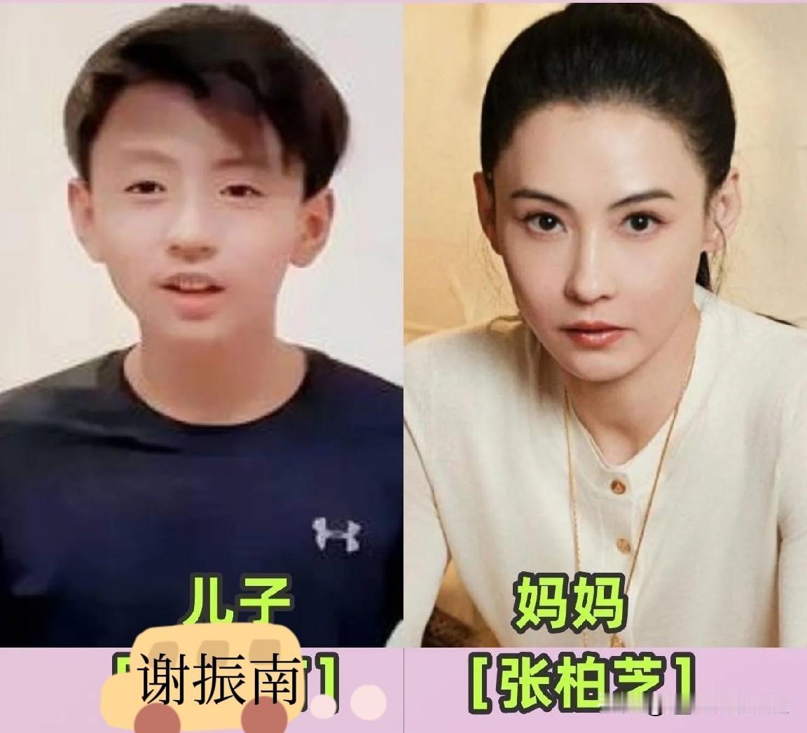 女星和自家儿子，看看谁的基因更强来看看明星母子颜值大比拼，强大的基因太神奇！
