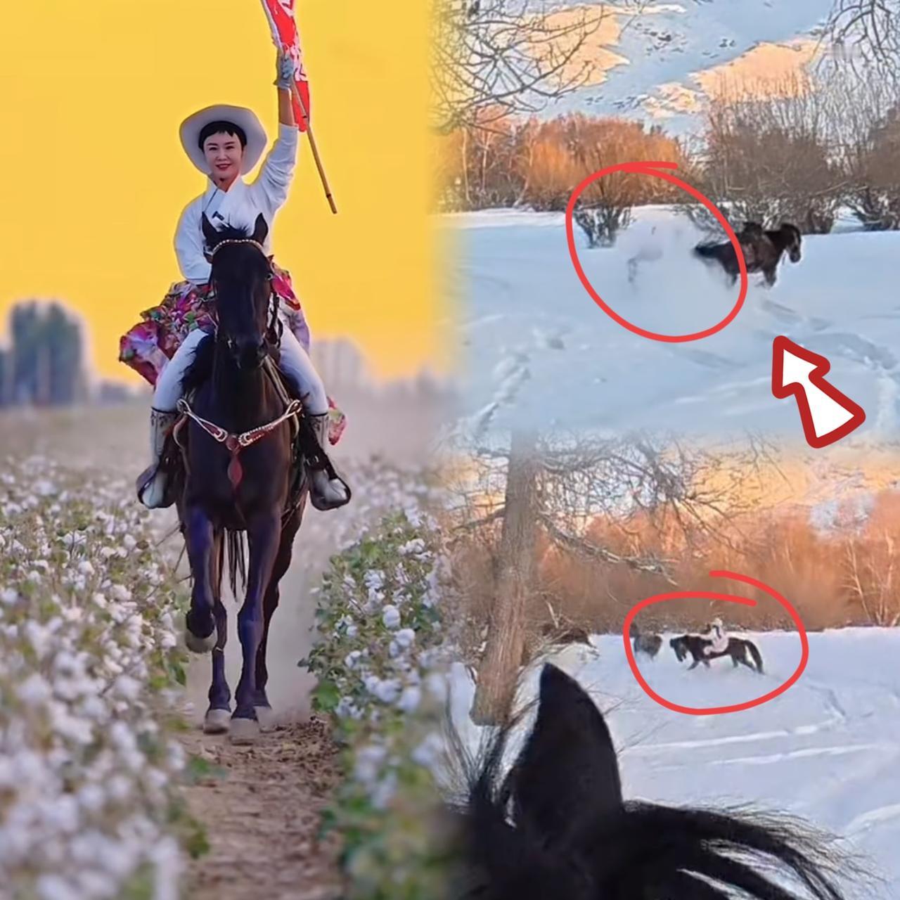 看了坠马视频，真让人揪心！视频里速度其实不算快，可贺娇龙脚踩马登过深，坠落后