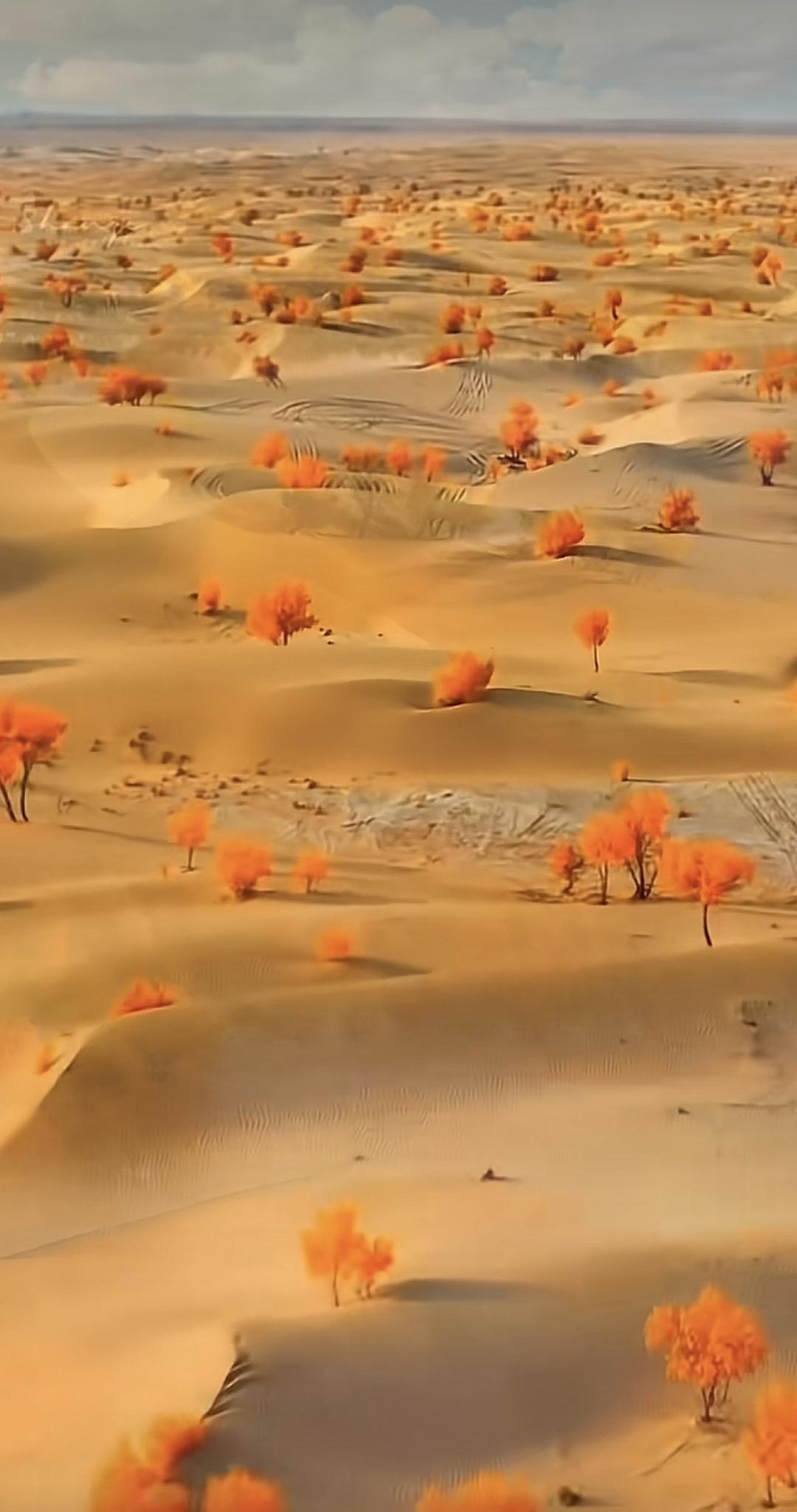 放空了所有繁琐的心情，带着诗来到远方的沙漠，拥有最美的夕阳，最干净的天空，最漂亮