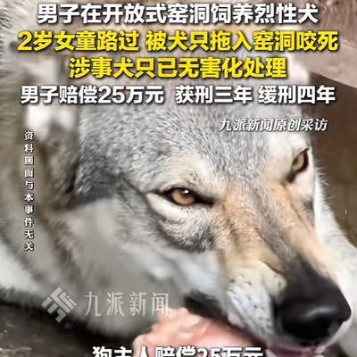 “令人痛心！”5月20日报道，河南汝州，一男子养的恶犬多次挣脱铁链，但他没当回事