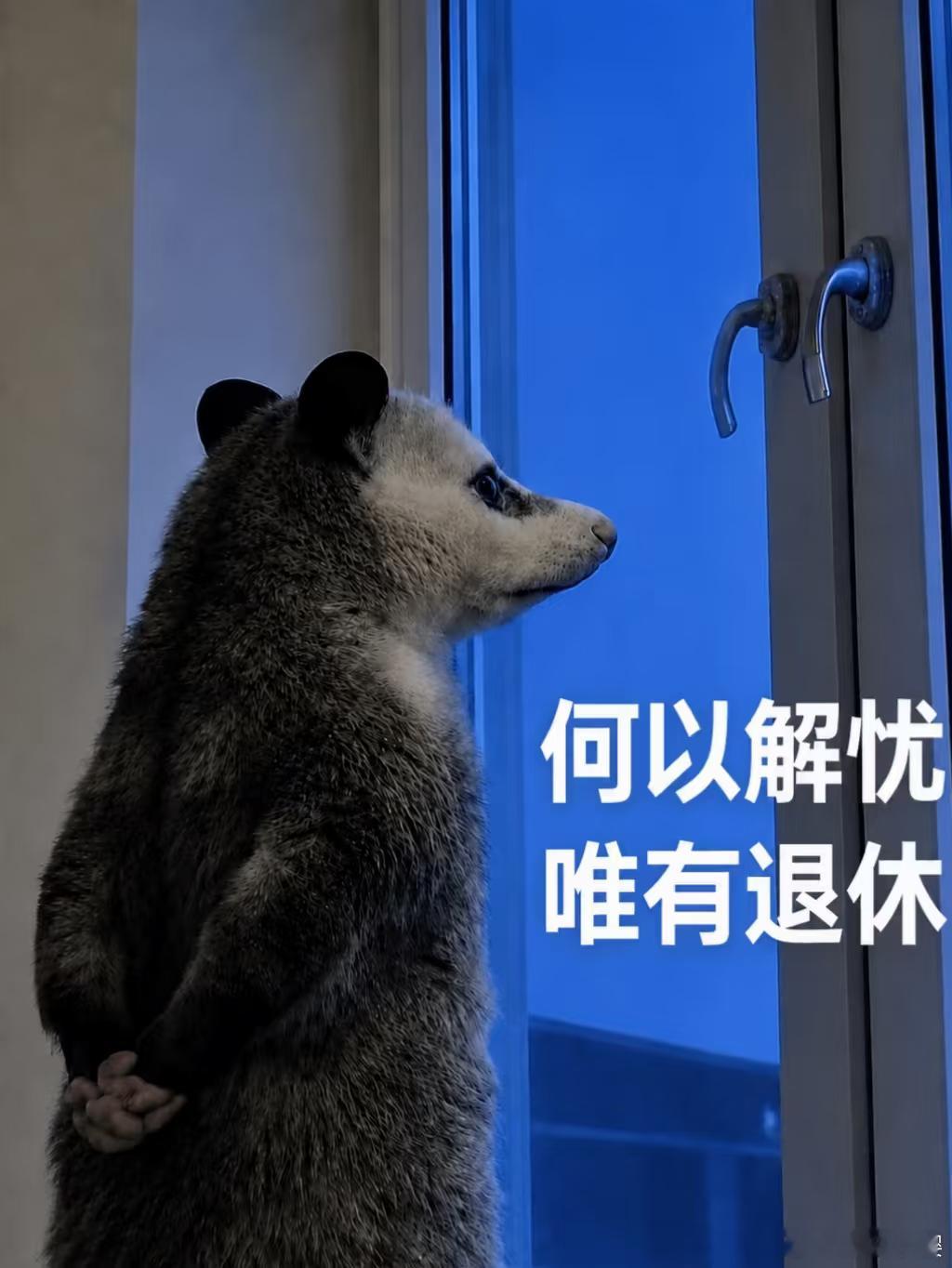 这就是为什么强制缴纳社保的原因我刚刚去算了我自己的社保要交多少钱，缴15年下来需