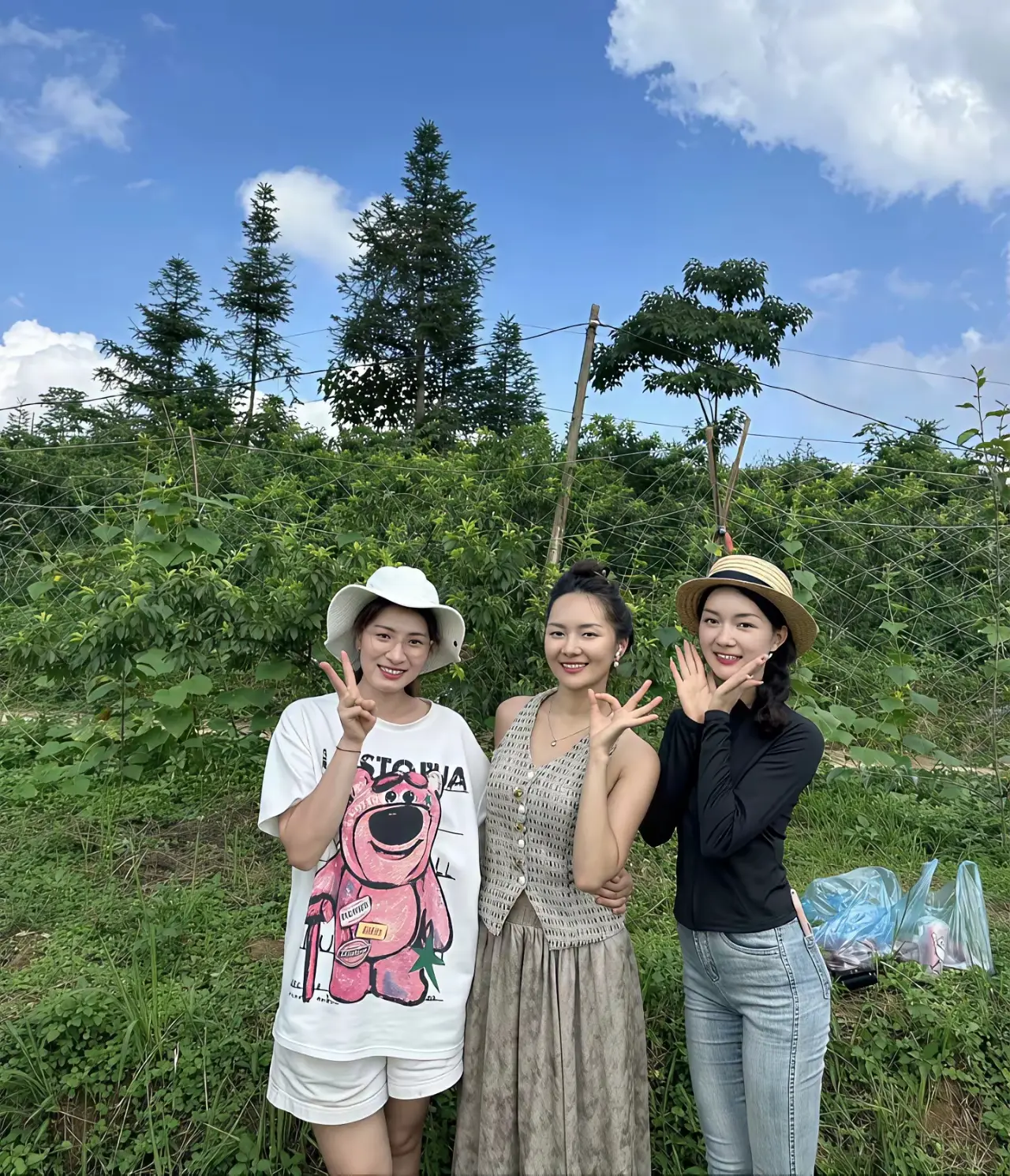 三位女神和你做朋友，你会选择哪个？