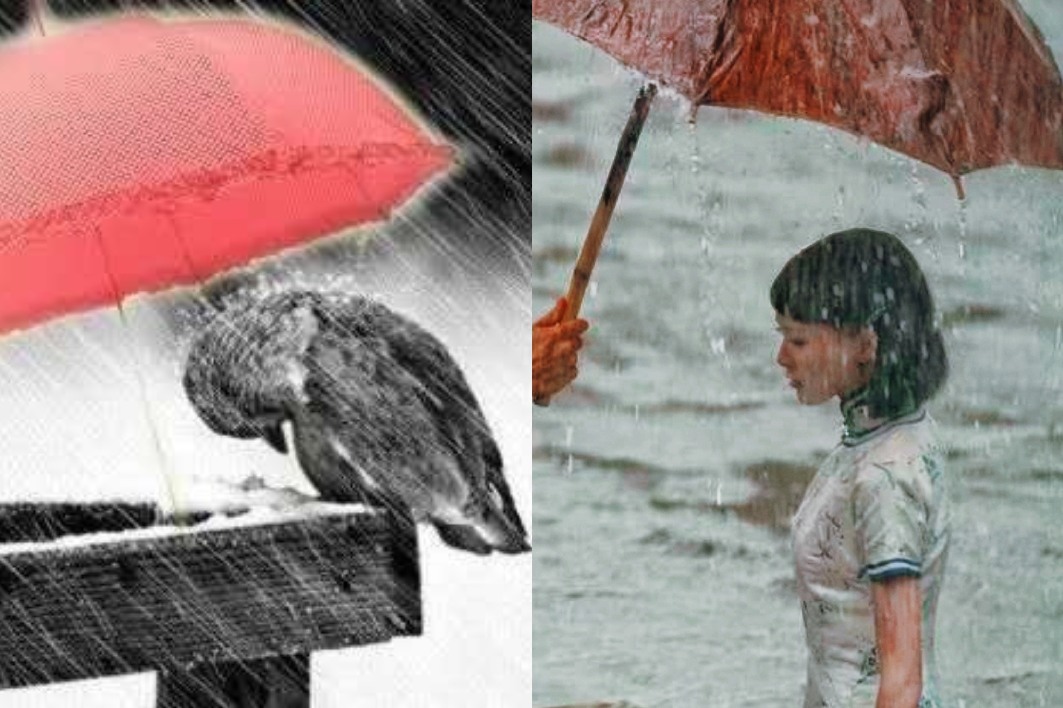 唐嫣小红伞由来