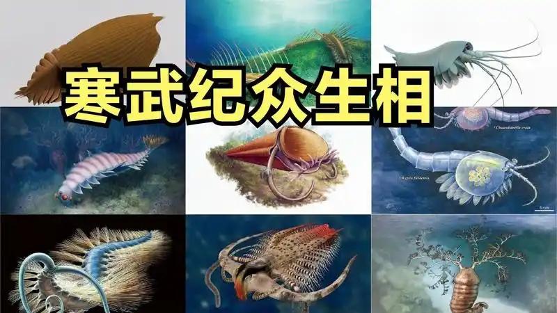 地球上本来并没有人,第一个男人和女人是怎么来的?