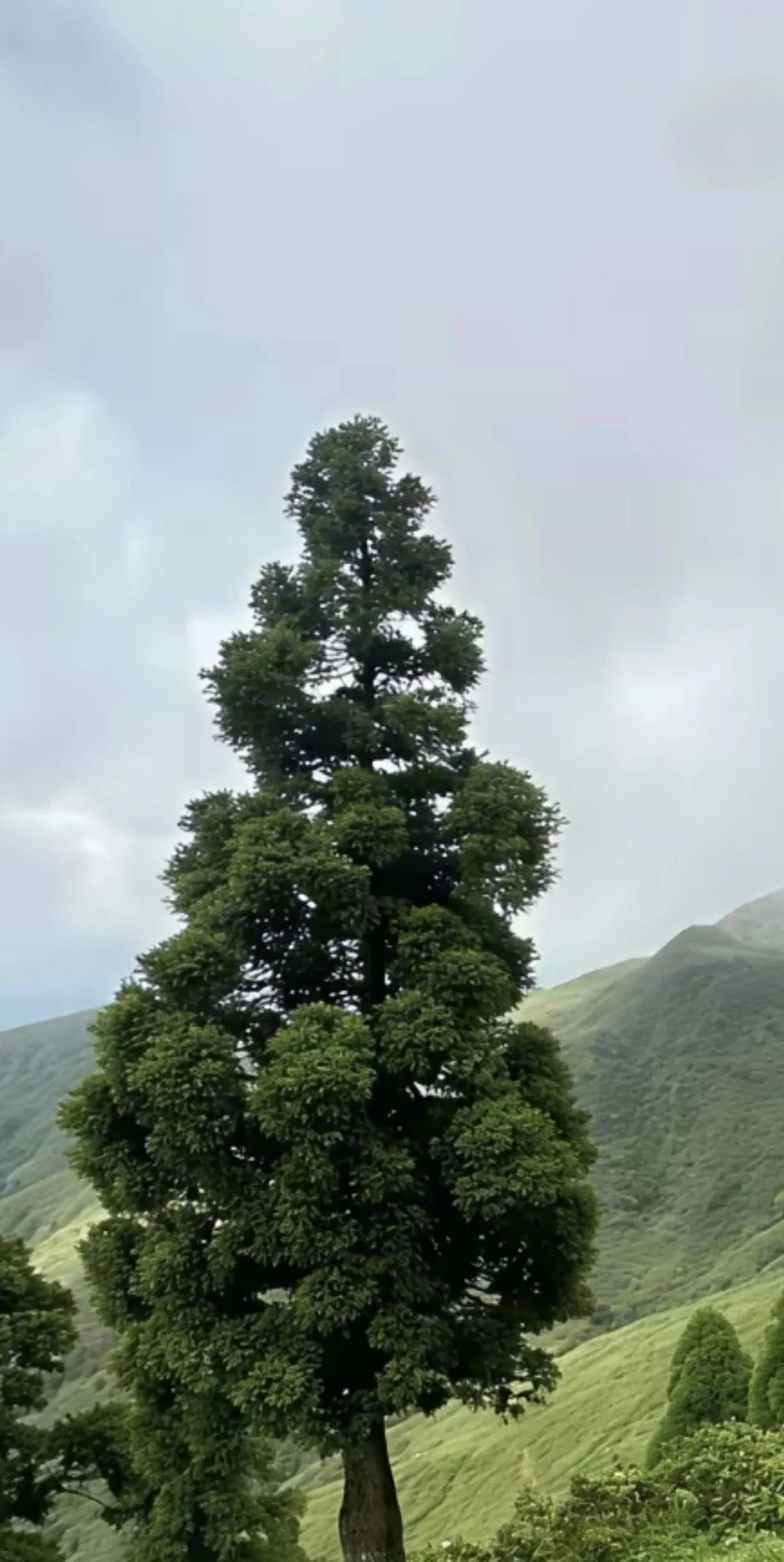 如何才是逐步智慧的人生，悟道第一条，懂得闭嘴。话多容易得罪人，聪明人心里明白，