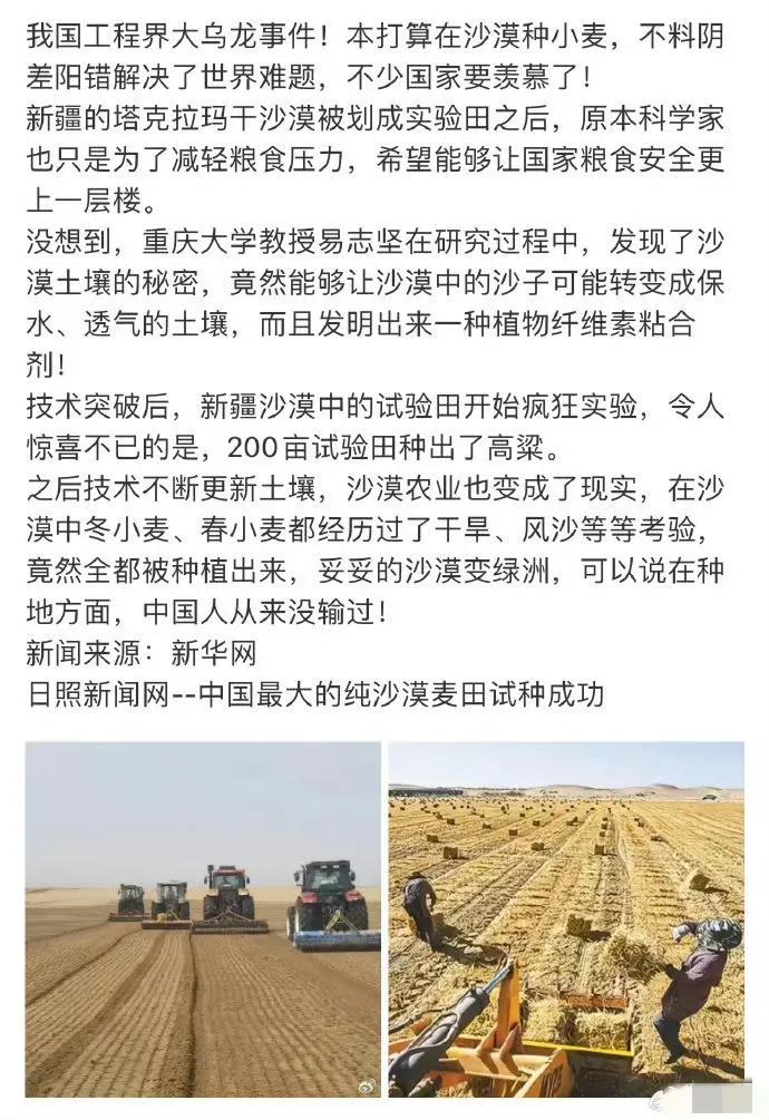 荒漠生金：中国科学家让沙漠长出高产高粱。太牛逼了！在常人眼中寸草不生的沙漠，