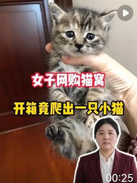 当浙江永康的徐女士拆开那个来自广西的快递时，她怎么也没想到，自己买的竟然不是猫窝
