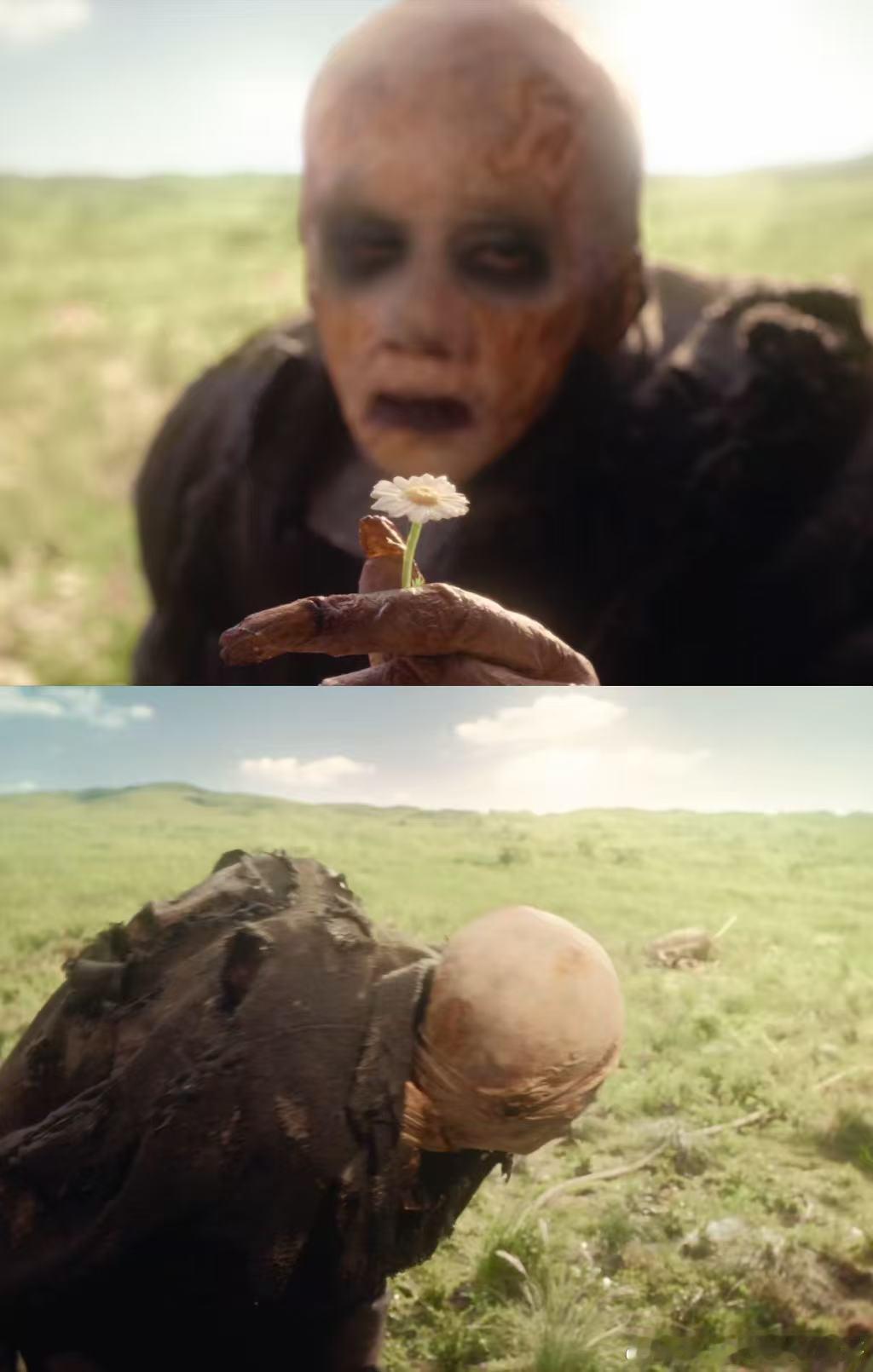 看完《狂野时代》，不禁感慨真的是诗一样的镜头审美。最爱阿波罗这章节，千禧年古惑仔