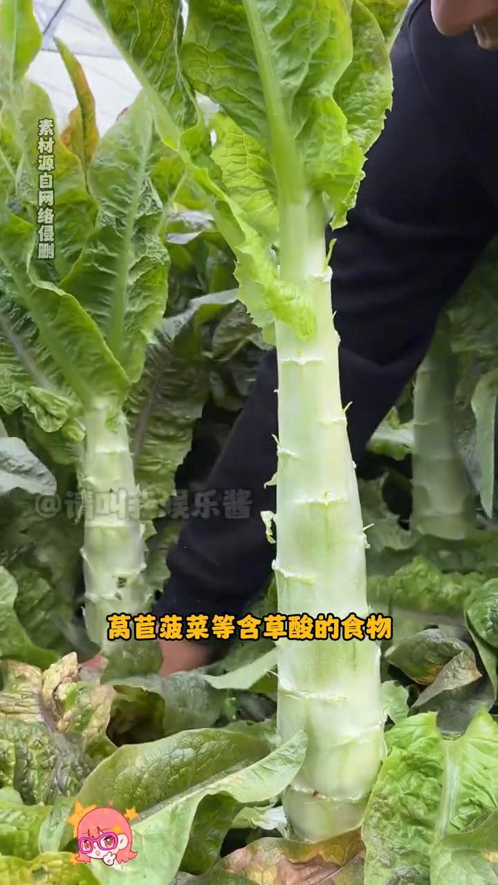 这些食物必须要焯水才能吃。请叫我娱乐酱。这个必须转发给我妈。·莴苣、菠菜等