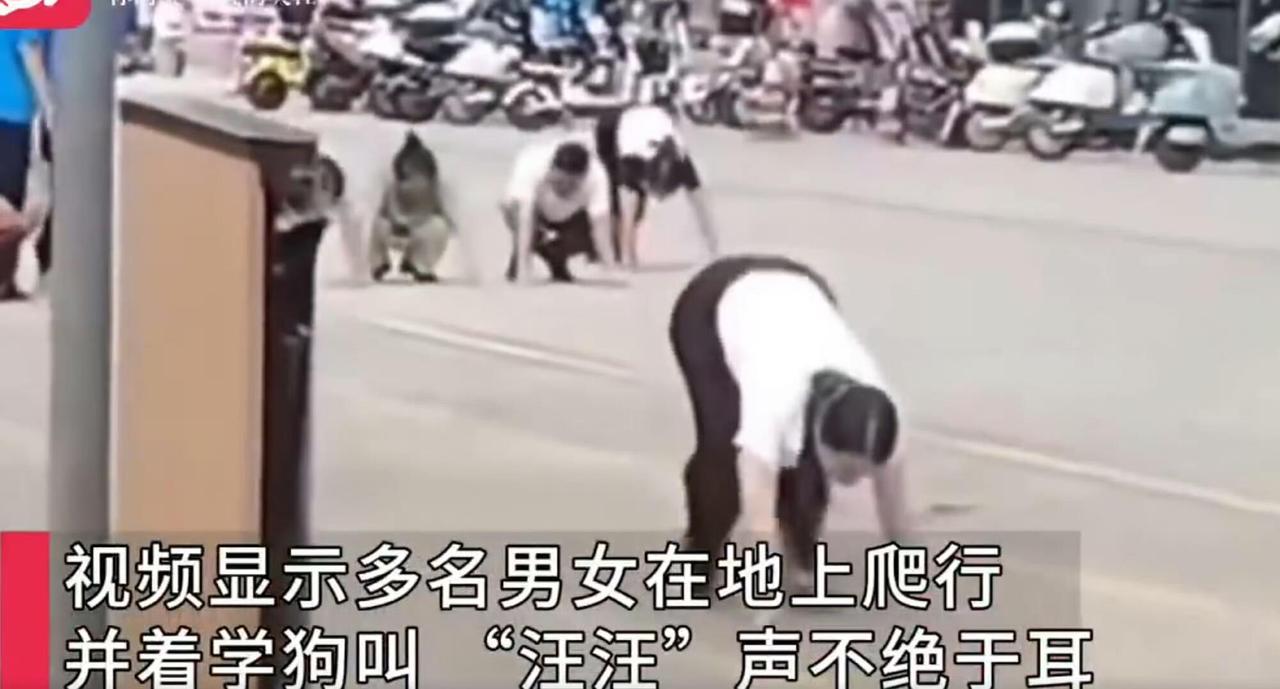 这事儿听起来就离谱——惠州街头，一群人穿着便服，像狗一样趴在地上爬，还时不时学狗
