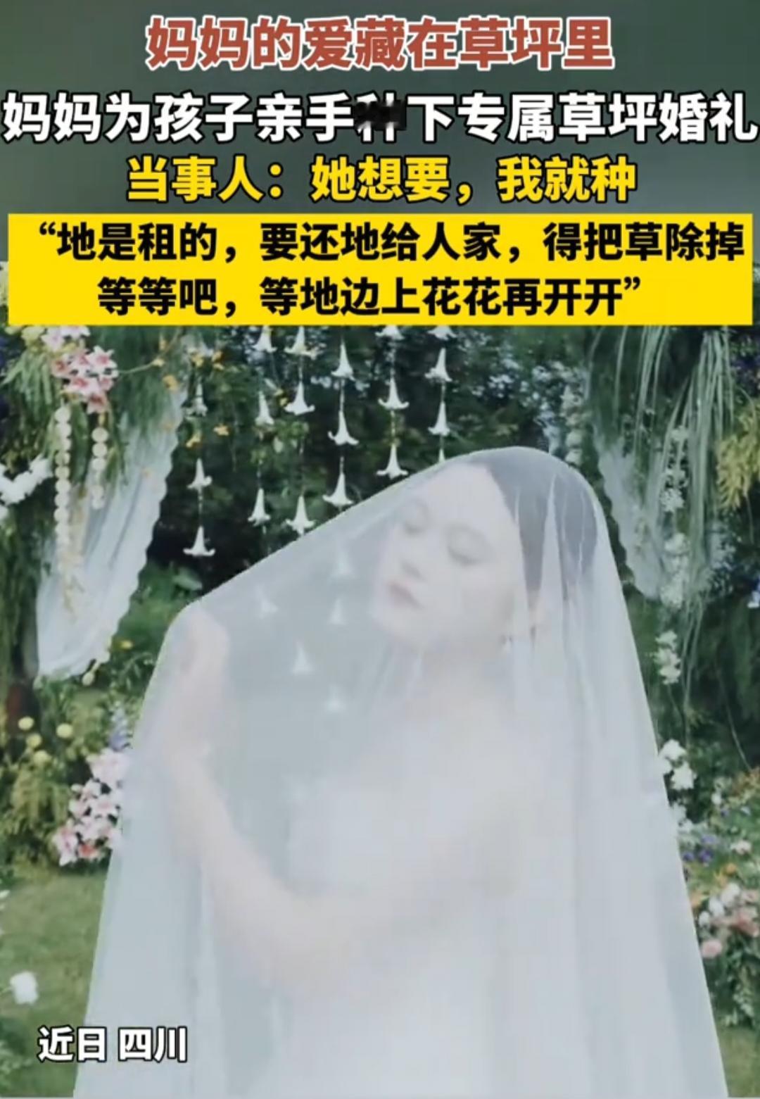 四川的一位妈妈火了全国人民知道了为了女儿的婚礼，四川的一位妈妈租地种草，从种
