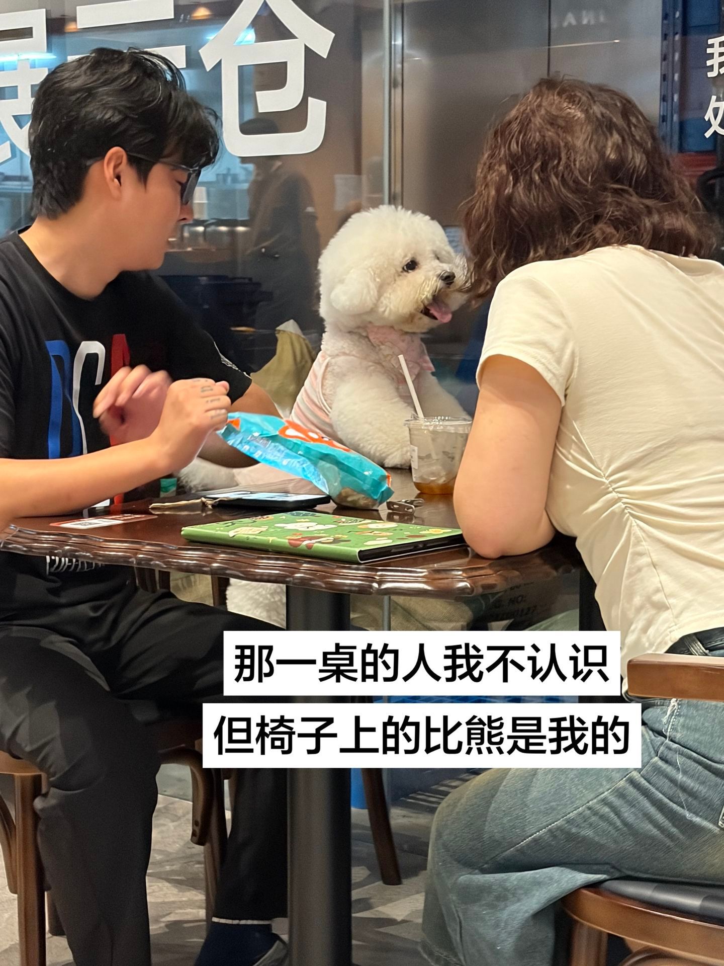 养宠人手忙脚乱且要保持公平belike​​​