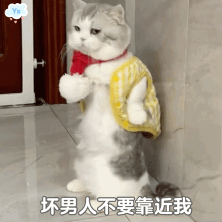 十二星座女“被备胎”指数：白羊女：15%｜不爽立刻抽身，绝不耗在暧昧里金牛女：2