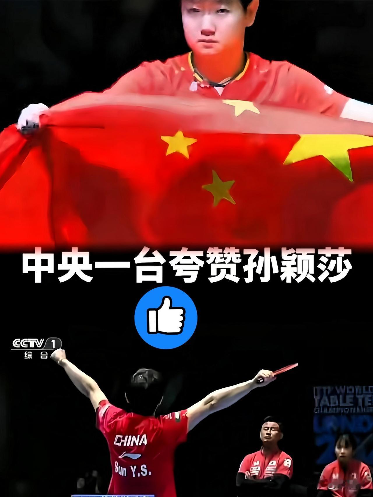 笫一次听到这个称呼但是值得央视这回给莎莎定的称呼，绝了。“护国长公主