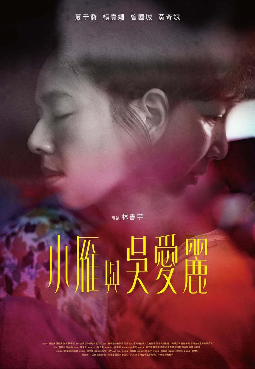 今年两岸电影展台湾电影片单公布！将于6月6号至6月11号在雅安展映（四川雅安万达