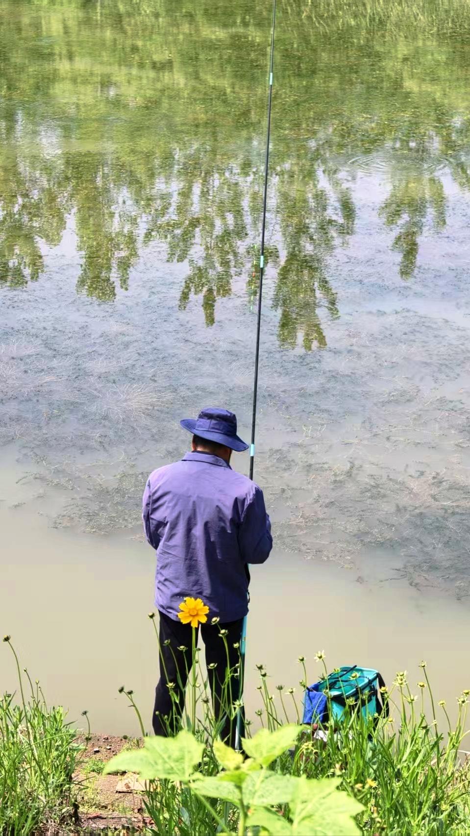 我之前在春天钓鱼，收获可不少。有一次钓到了好几条大鲫鱼，拿回家炖汤，那滋味，别提