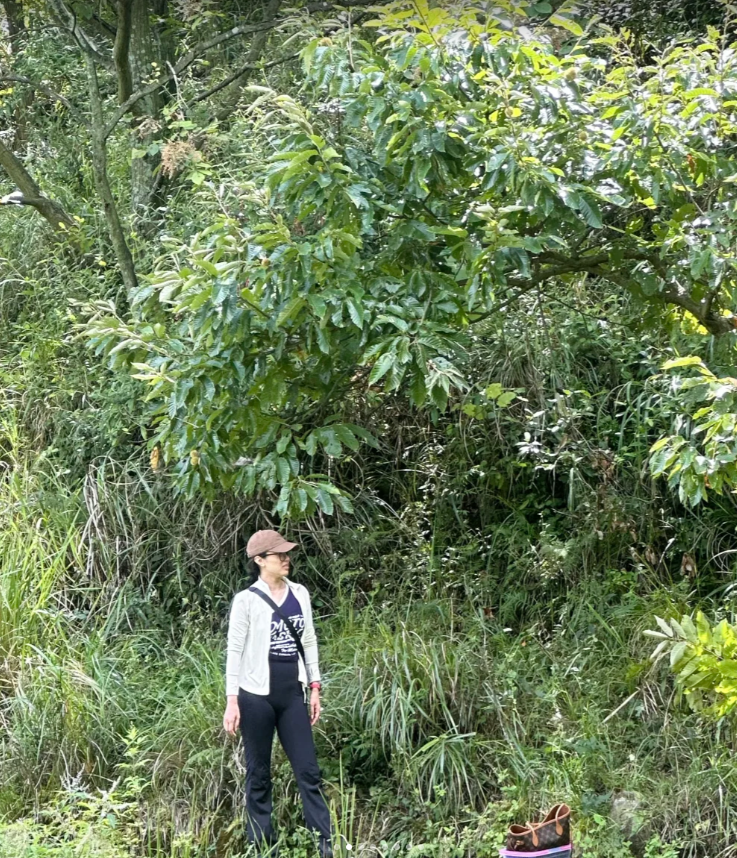 也是和女朋友一起爬上山了！