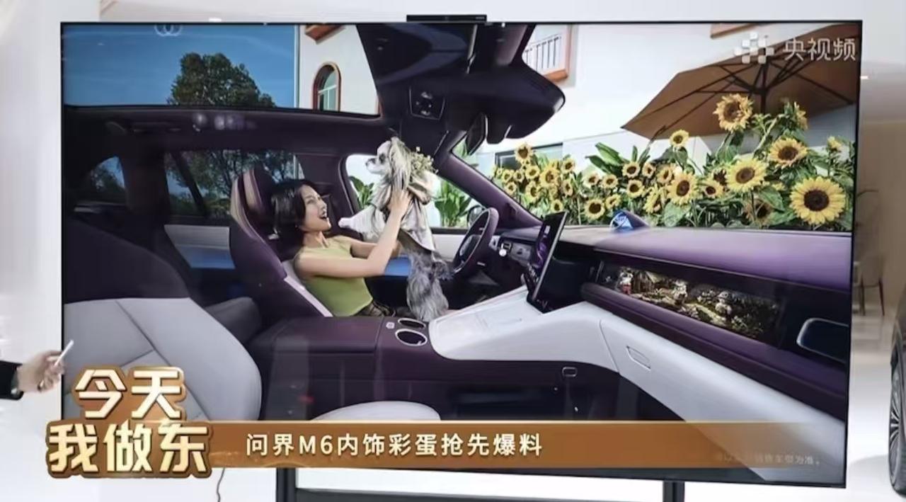 随着问界M6的细节陆续揭晓，这款专为25-30万级Z世代打造的新锐王牌，正逐步填