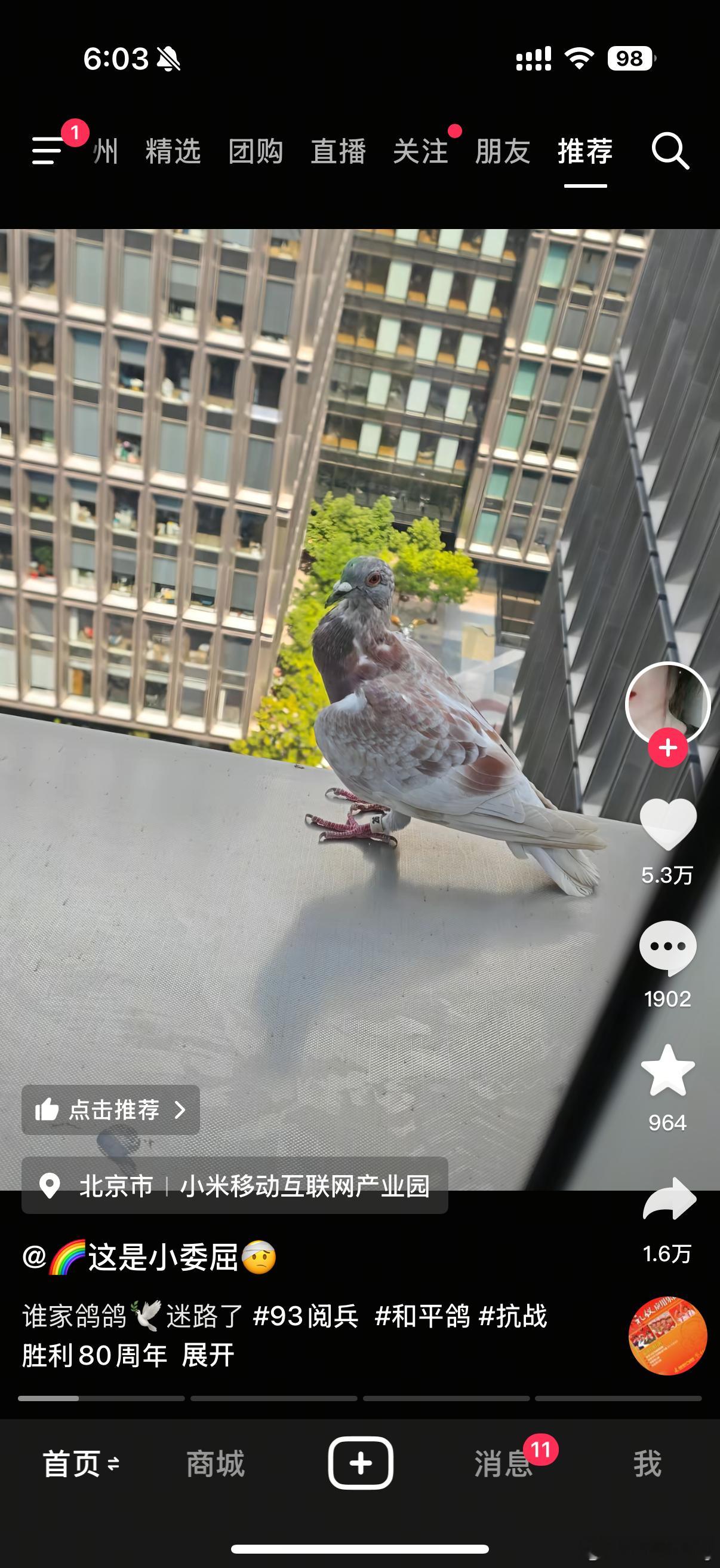 和平鸽工资15元有些和平鸽迷路了没回家，如果算上没回家的损耗的话，其实工资15
