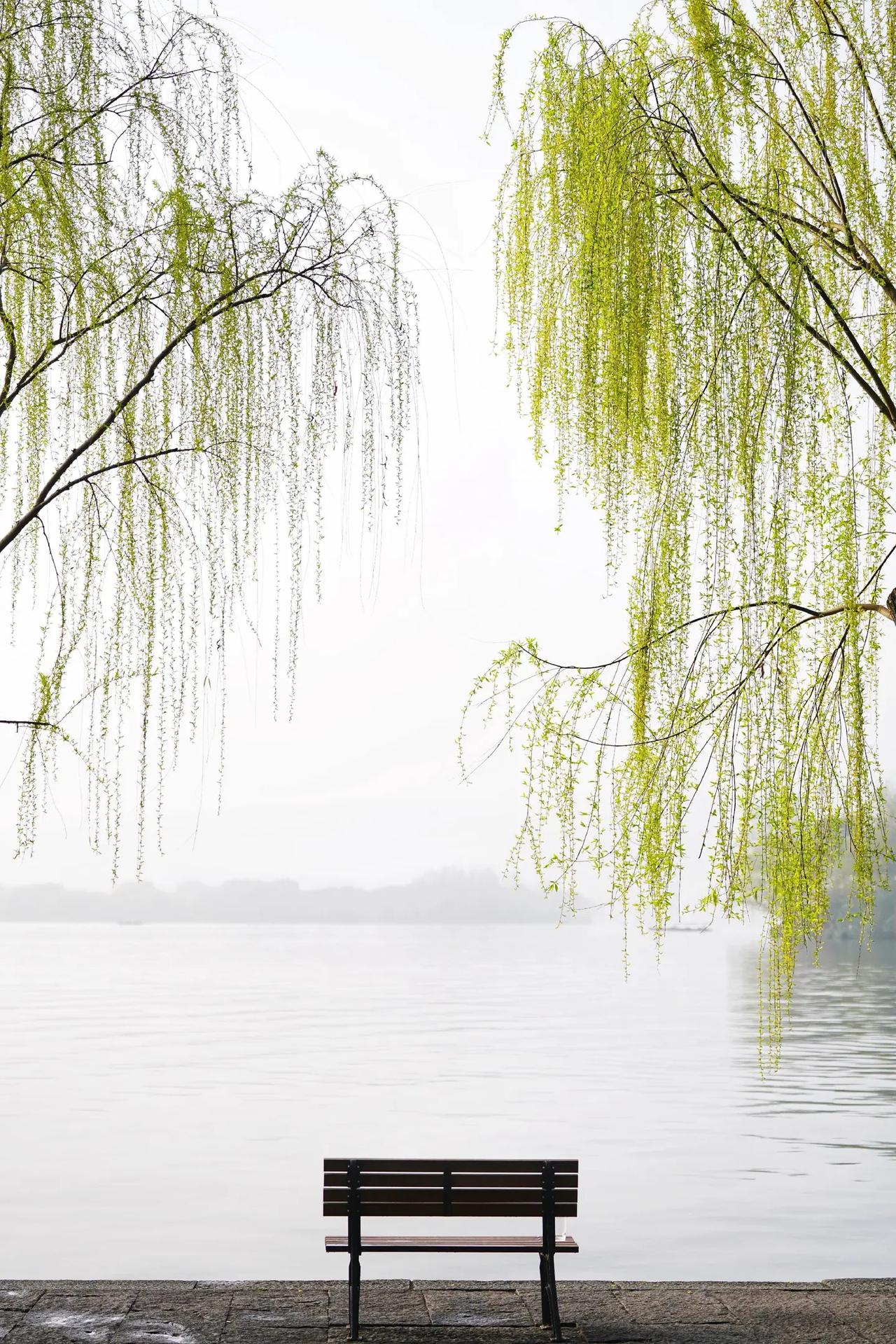 如今，学生群体中普遍存在一种“假努力”现象。时间花了，笔记也做了，成绩却不见提升