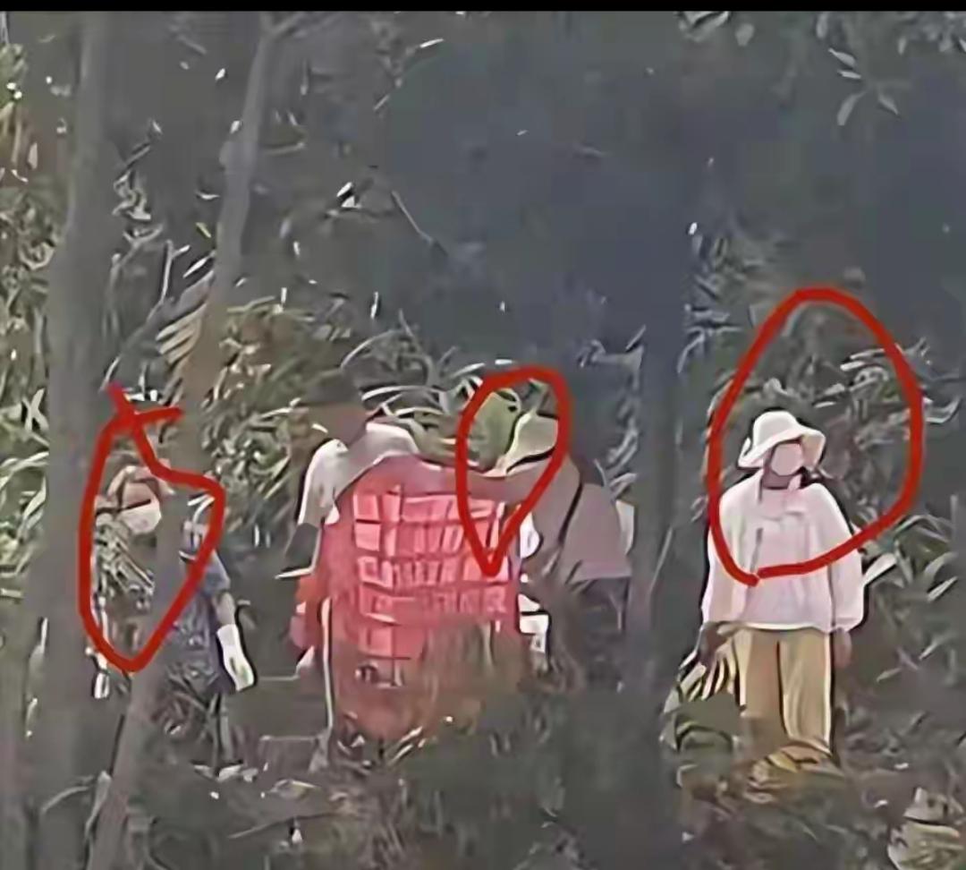 别被“伪放生”骗了！水库放猫背后的敛财套路，比杀生更恶心！放《大悲咒》、举