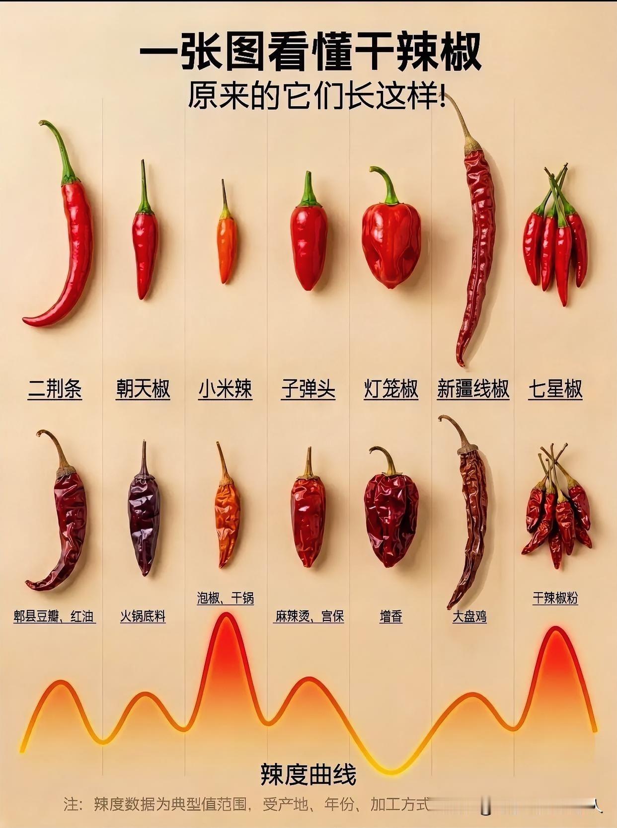 朝天椒辣度排行