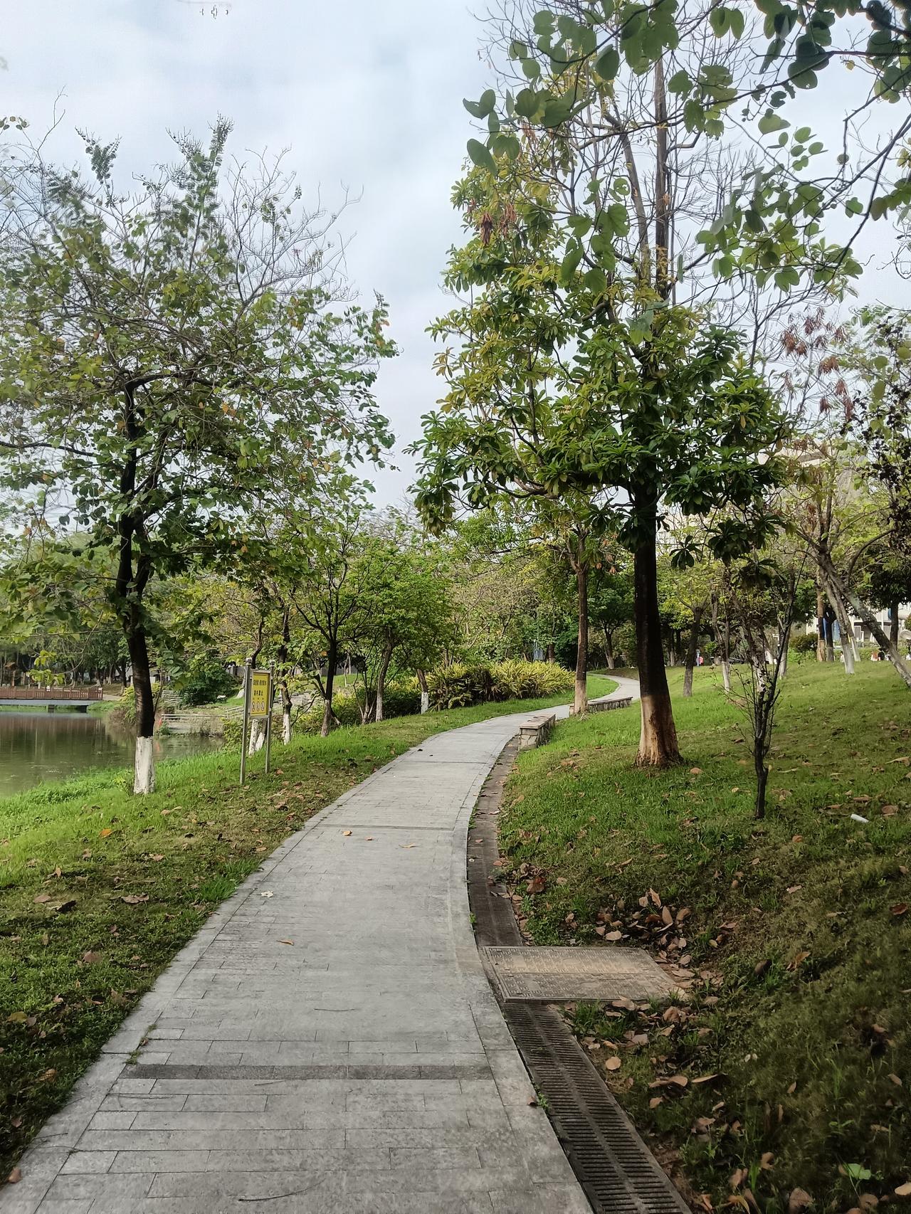 大学生必须认清的5个真相:我大一的时候真的特别拼，绩点很高，成绩也一直很好，是老