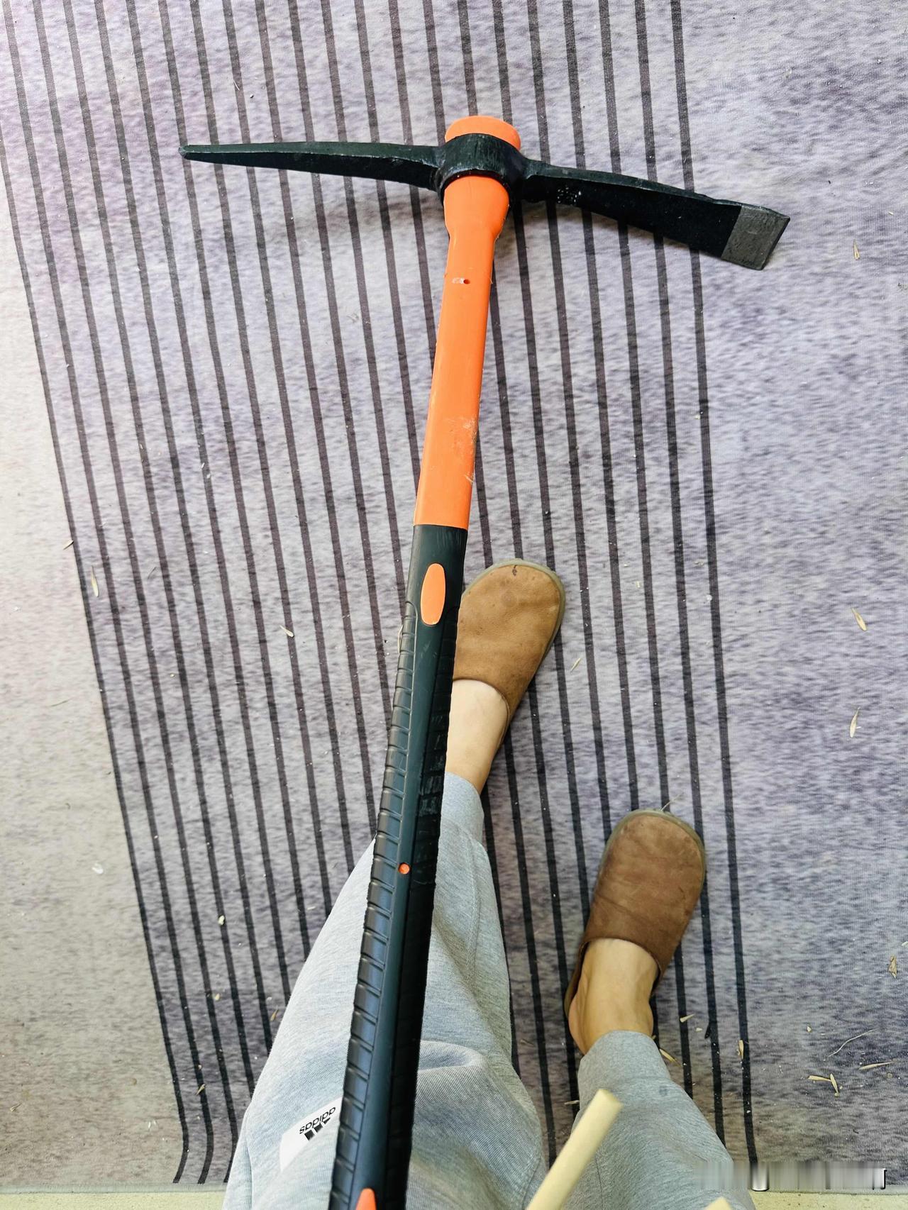 论情绪价值的重要性。我说我要买个尖头小铁锨种菜种花。俺家这块文化人曾经老师眼