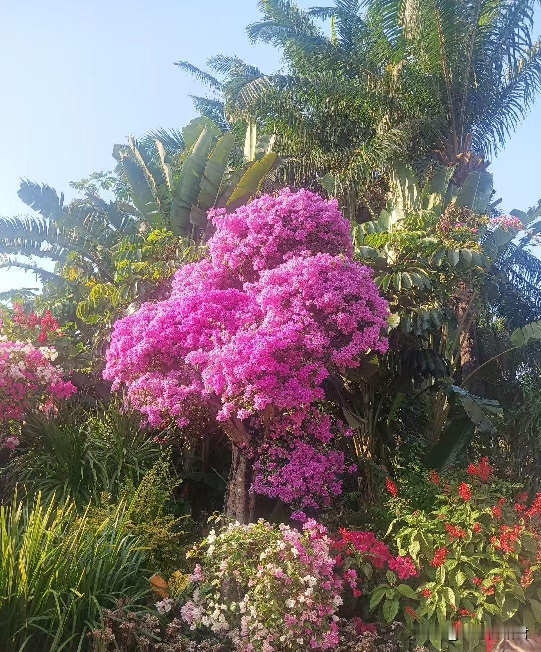 无福的婆婆是进不了有福儿媳的家门的。一男子，30多岁，人穷，家也穷，认识了大自己