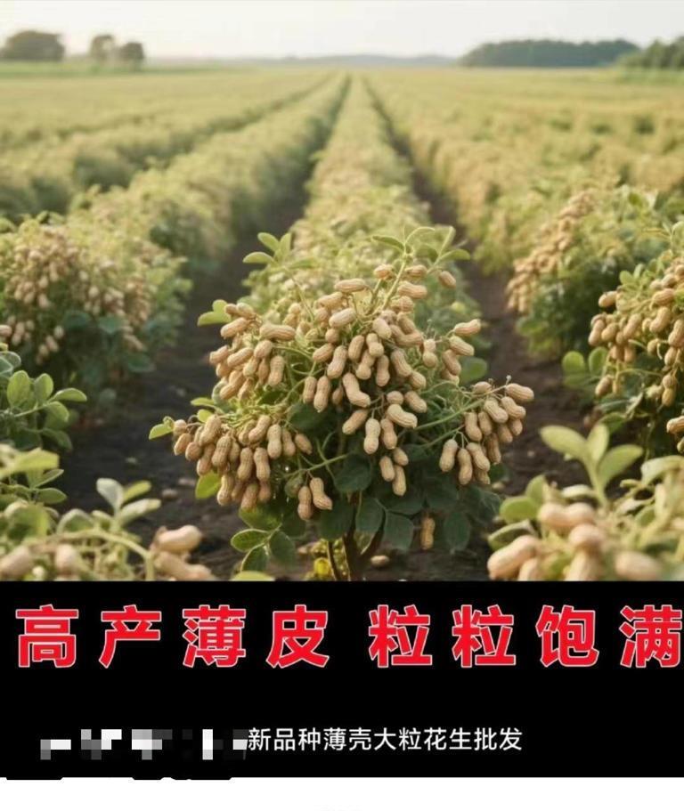 “笑不活了！”一款花生味压缩饼干的广告，被网友们吐槽，因为图上的花生，居然结在灌