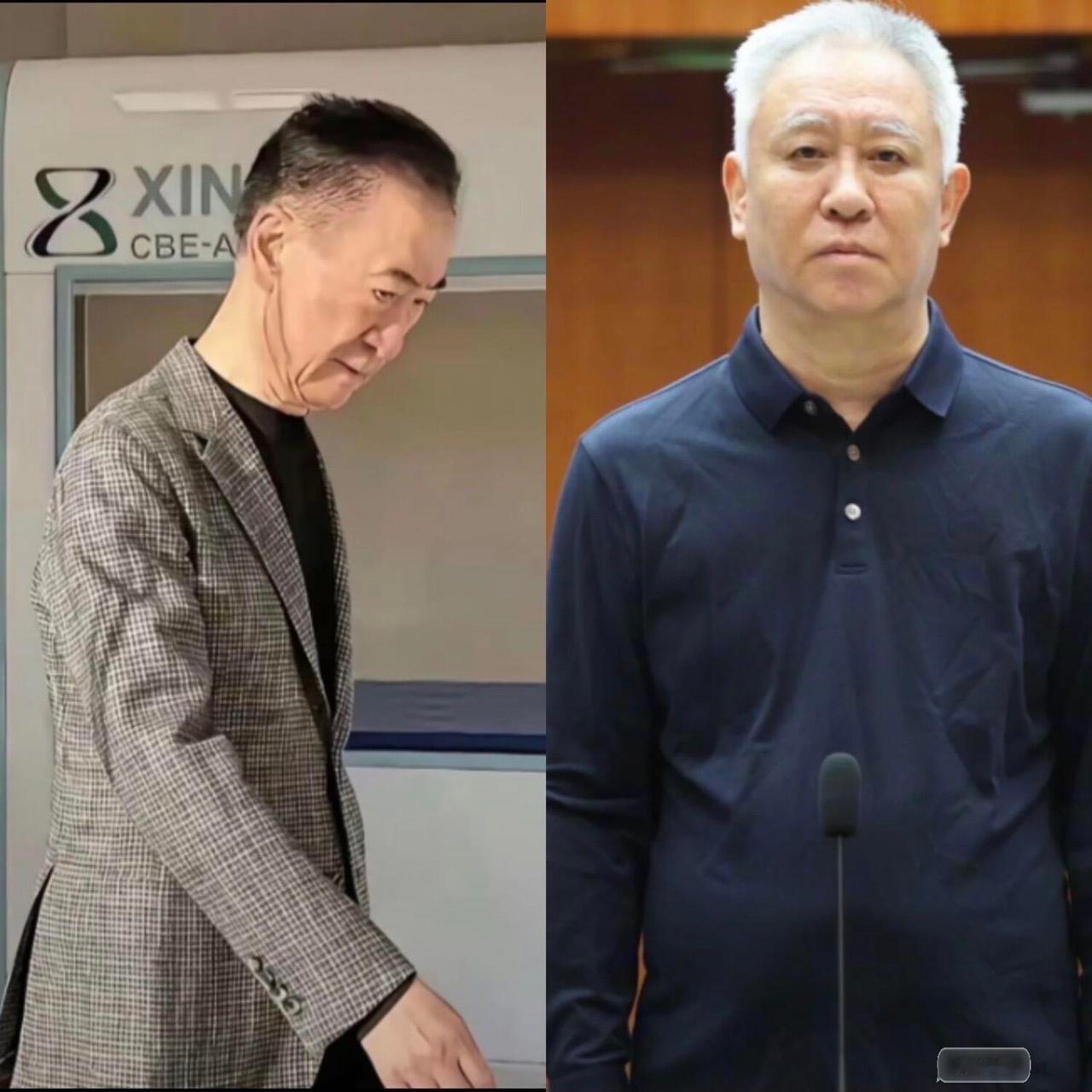 曾经风光无限的许家印和王健林许家印成了白眉老道，王健林瘦成了纸片许家印成了白