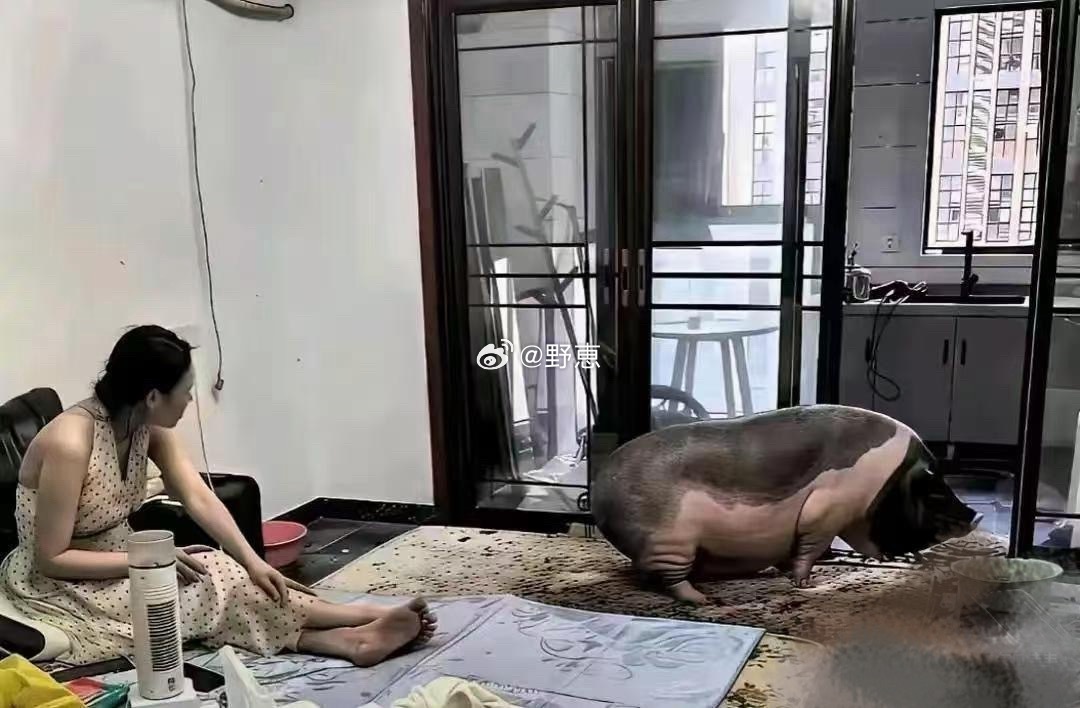 天啊，这种生活谁受得了