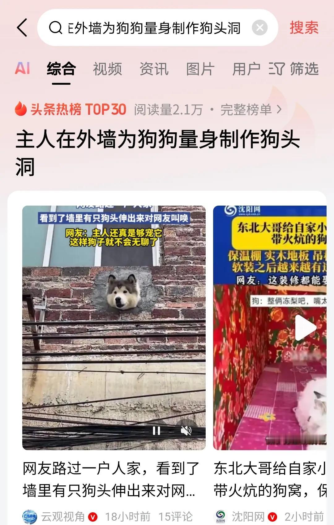 家人们，今天必须给你们分享一个超暖心又超有趣的事儿！最近啊，有个主人为了让