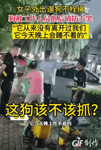 这个大姐遛狗不拴绳，结果狗被几个工作人员给抓了，她当场激动起来，哭得稀里哗啦，大