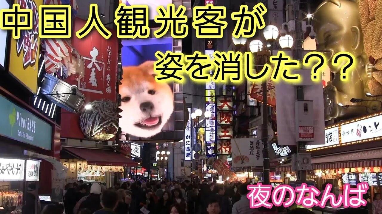 因为中国游客不去，日本华人一条龙经济遭遇重创。为什么过去大量中国人去日本旅游，这