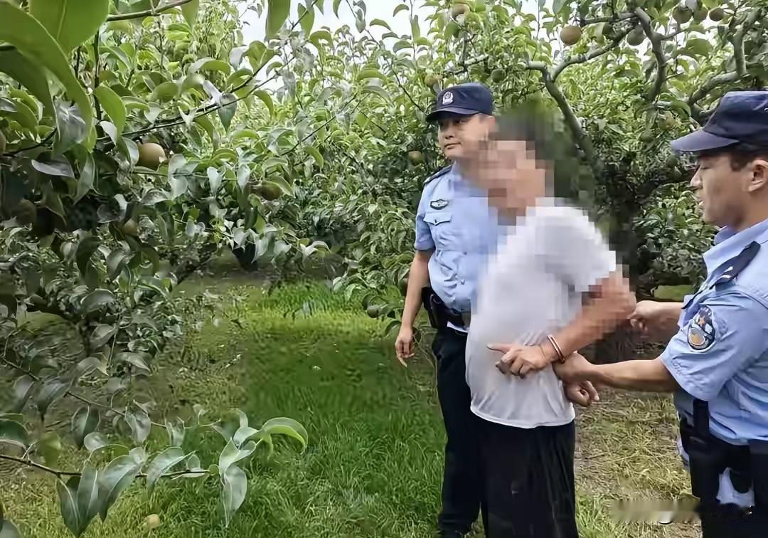 “你这是要断我活路啊！”宿州，大叔去果园看梨子成熟程度，结果，看到让他愤怒无比的