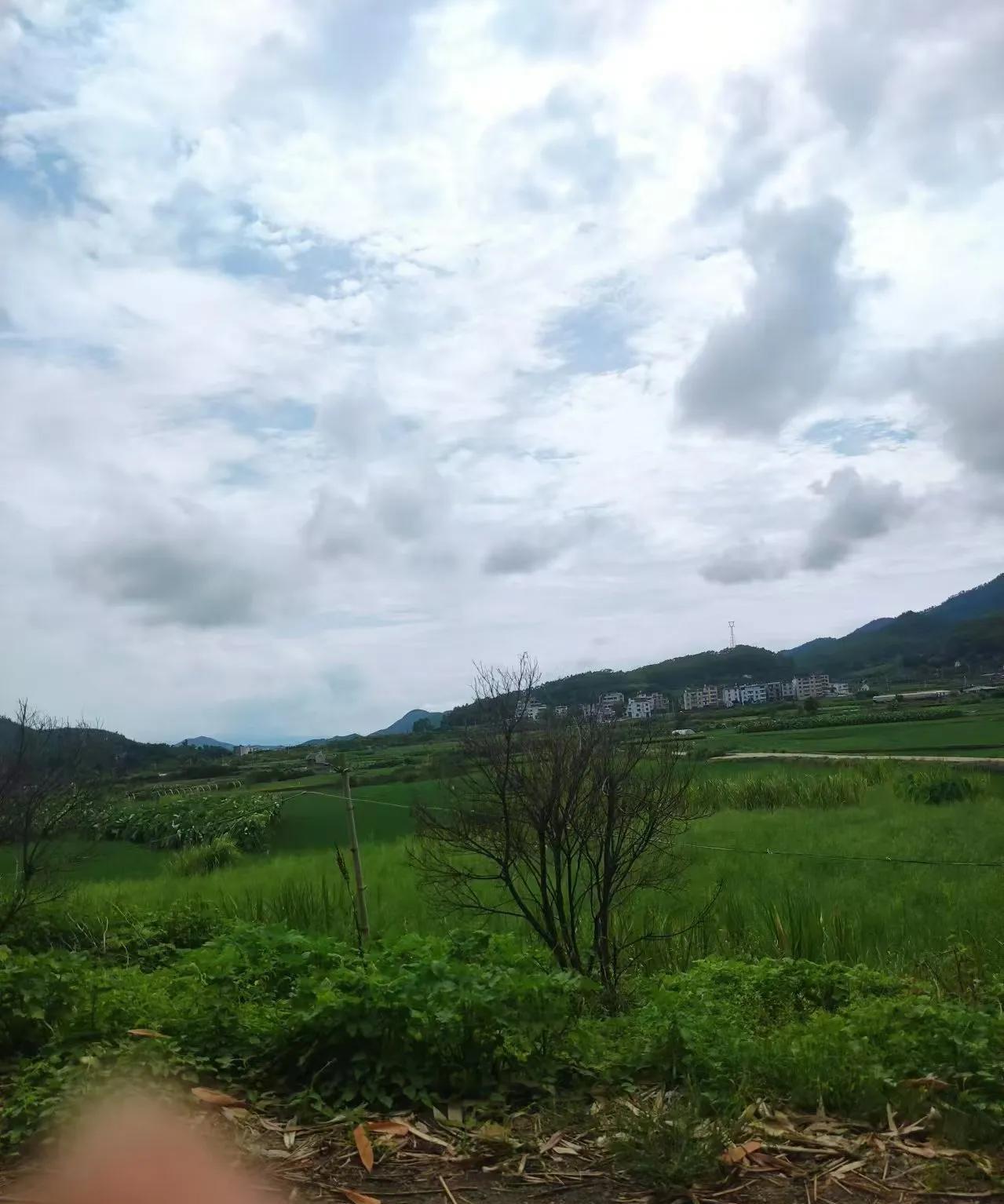 一个网友说我跟伯父不叫他爸爸去世他买房城市，土地给伯父种。回家建房子伯父矛盾