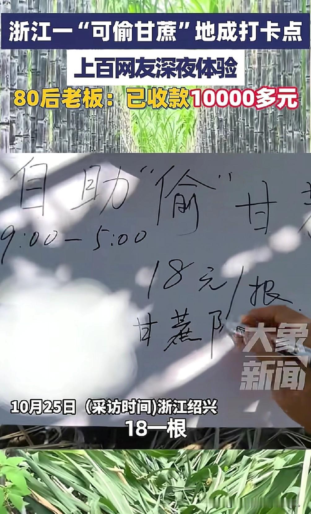 要不说浙江人会做生意呢,就这头脑想不发财都难啊,浙江绍兴出现一块“可偷甘蔗地
