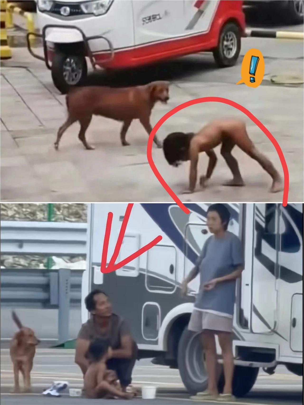 一个大学学历的父亲，把“生活方式”当成挡箭牌，让孩子像野生动物一样在养狗场长大