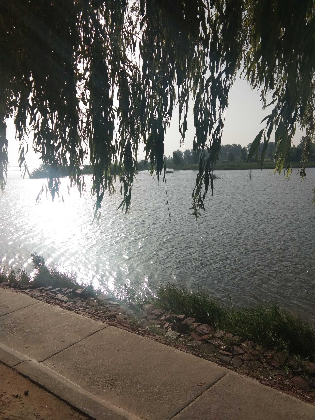 河图洛书中的伊落河1:伊洛河是伊河和洛河交汇后的称呼。洛河（南洛河）发源于陕