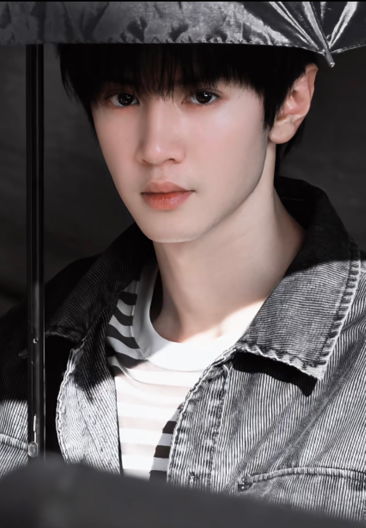 陈哲远💙陈哲远把黑夜点燃💙‍陈哲远陈善陈善＝衬衫？！陈善同学你
