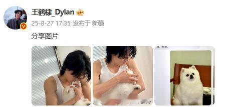 王鹤棣风波后首发博王鹤棣晒狗狗​​​